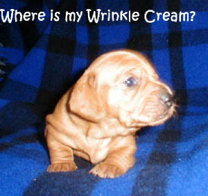 wheresmywrinklecreme.jpg