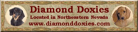 DiamondDoxiesA1Banner.jpg