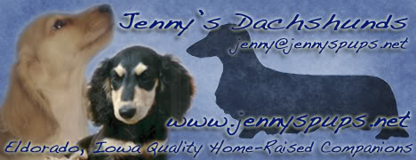 Jennyspups1272490776.jpg